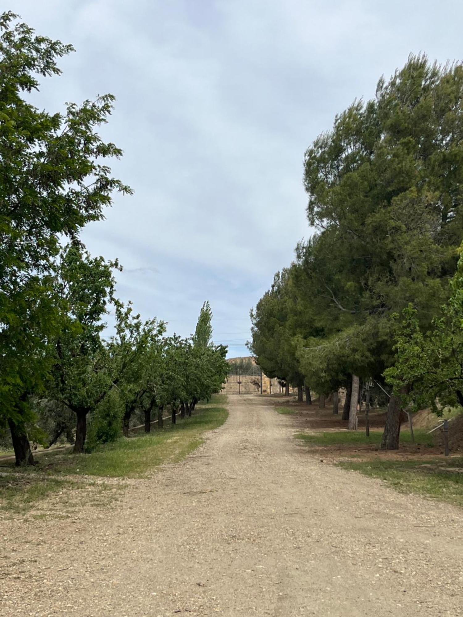 Cortijo Don Meliton Βίλα Γκουαδίξ Εξωτερικό φωτογραφία